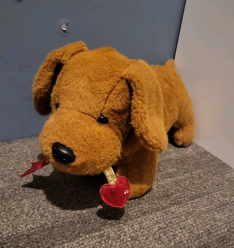 Dachshund sausage dog puppy - dog,