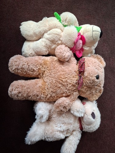 Collection large teddy - 3,