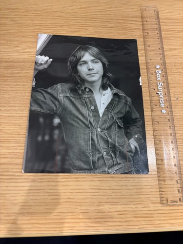 David cassidy partridge family - david,