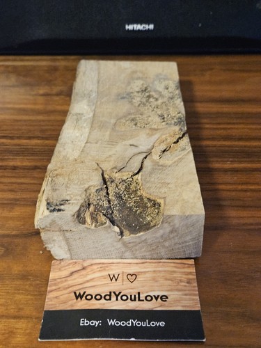 Oak block hardwood offcut - 🍁oak,