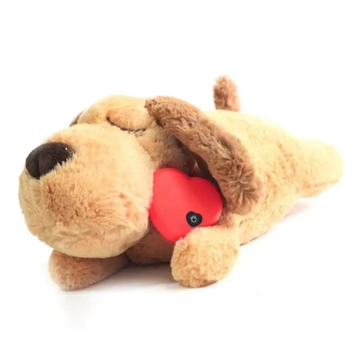 Pet puppy heartbeat - puppy,