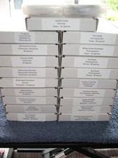 Superb Stratigraphy Fossil