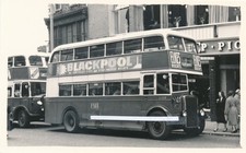 439 Bus Photo -  Potteries Motor Traction,  Fleet no. L359,  reg. no. LEH767.