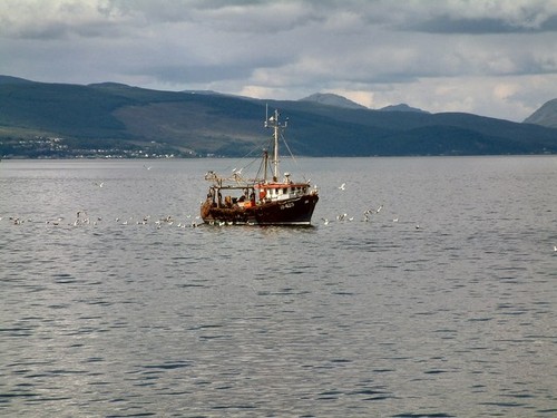 Photo 12x8 fishing boat the - 12x8,