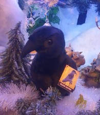 Sawley Fine Arts,  Witches Of