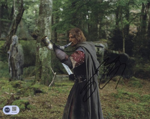 Sean bean the lord of - bean,