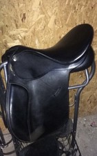 17 Inch Colligate Convertible