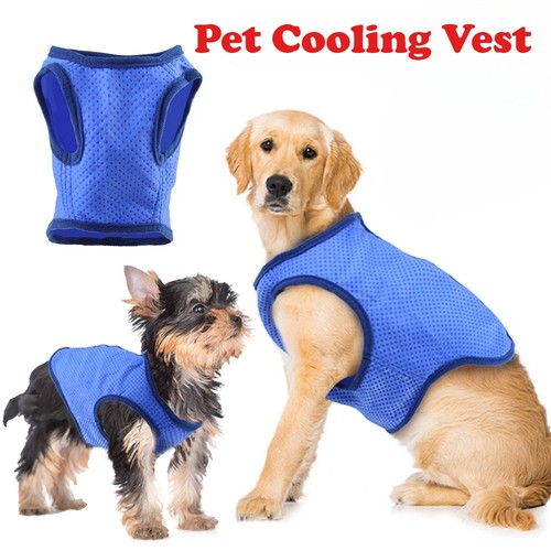 Summer dog cooling vest - cooling,