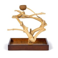 Prevue Pet Java Tree Mini