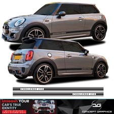 Challenge 210 Side Stripes