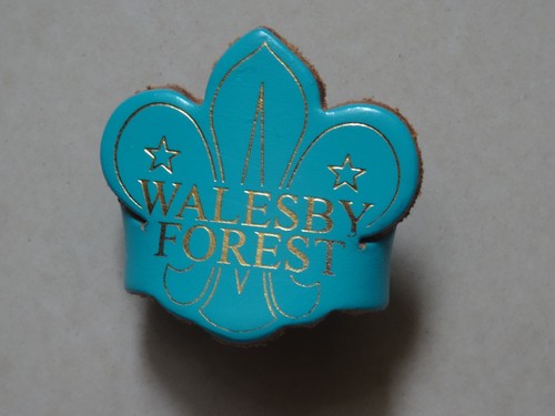 Walesby forest camp scout - walesby,