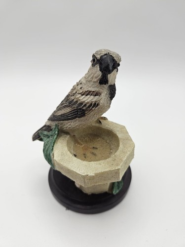 The country bird - the, collection