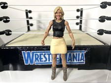 WWE Renee Young Wrestling Figure Mattel Female Commentator Announcer AEW WWF*