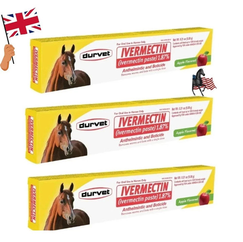 Pack horse paste - 3-pack, apples