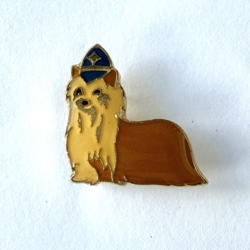 Vintage yorkshire terrier - yorkshire,