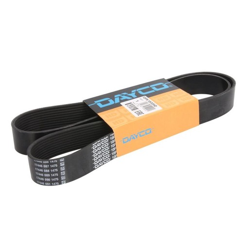 Ribbed belt fits - 1x,