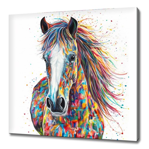 Beautiful colourful horse - beautiful,