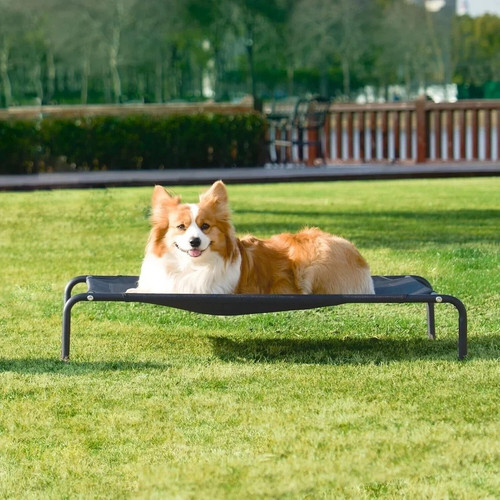 Pet raised dog bed elevated - pet,