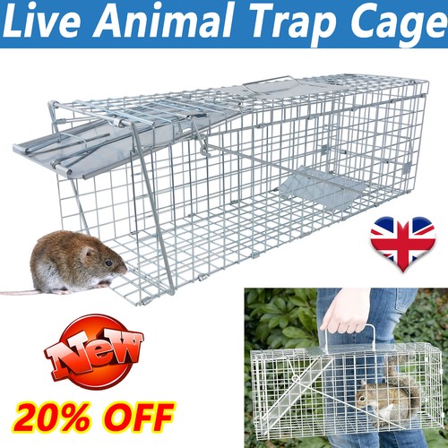 Mouse trap cage humane - mouse, live