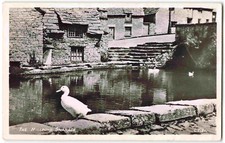 Swanage The Millpond - To