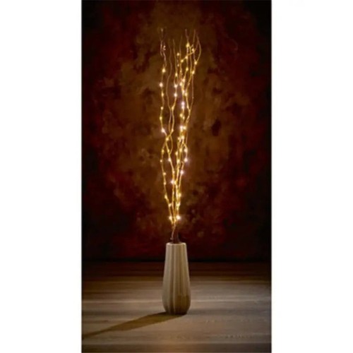 Light brown twig with warm - light,