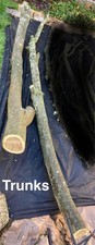 Laburnum wood/timber from