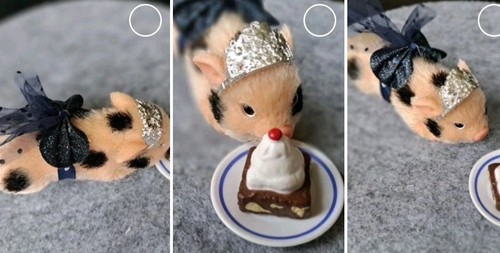 Micro piglet pet mini - micro,