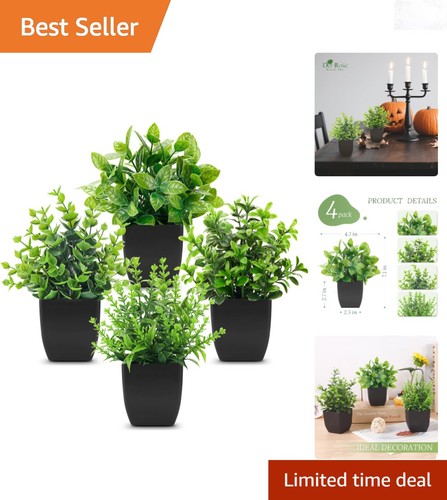 Pack black faux plants mini - pack,