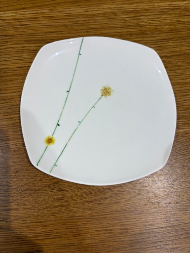 Aynsley bone china daisy - bone, china,