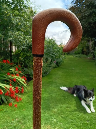 Hand carved walking - hand,