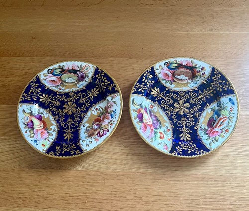 John rose coalport plates - coalport,