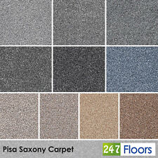 Pisa Saxony Carpet 20mm Thick