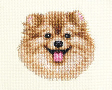 POMERANIAN dog, puppy ~ Full