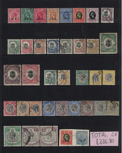 Tanganyika kgv selection cat - kgv,