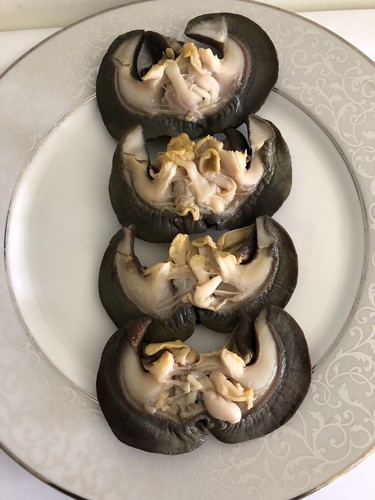Fresh frozen jumbo snails - jumbo,