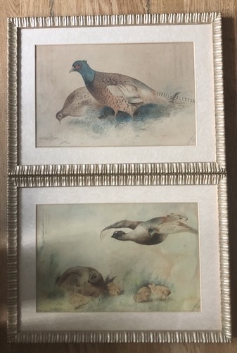 Pair antique pheasant - pair,