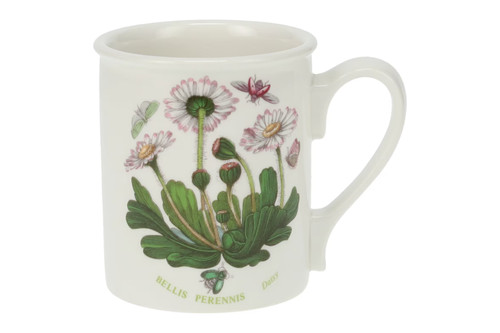 Portmeirion botanic garden - -,