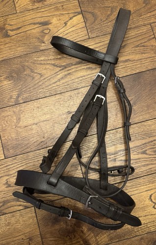 Full size brown english - size,