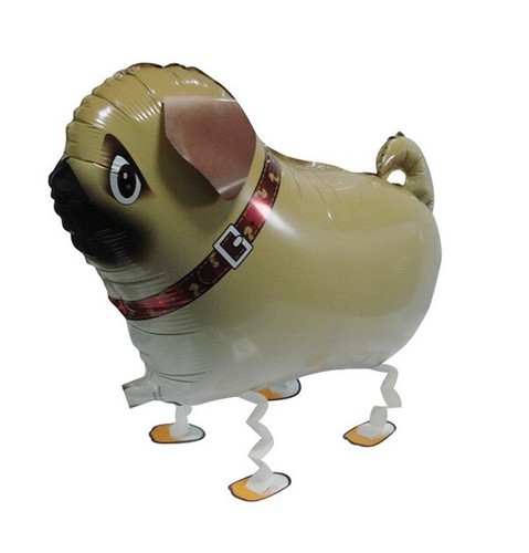 Pug balloon dog walking - walking, pet