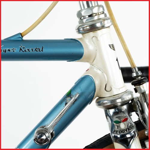 Vedovati columbus campagnolo - vedovati,