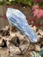 Blue Kyanite Bladed Crystal