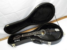 Vintage Eastman Guitar Co