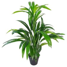 Large Artificial Foliage Plant