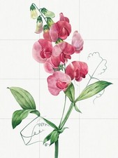 Tile Mural/Mosaic Ceramic