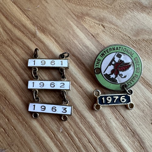 Vintage enamel badge year - vintage,