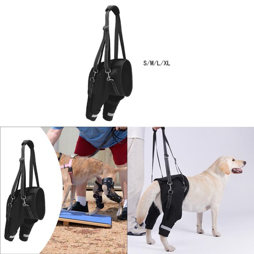 Dogs hind leg - dogs, harness