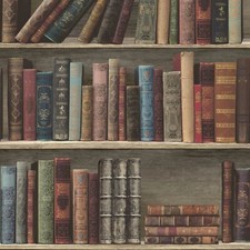 Retro library bookshelf - library,