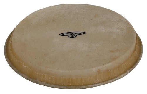 Latin percussion large - percussion,