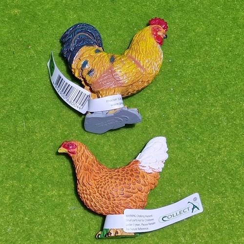 Collecta chickens - -, 2x