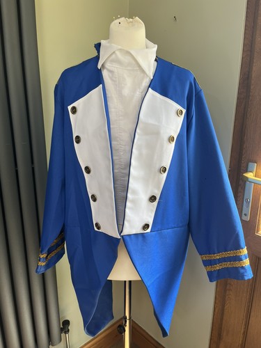 Pantomime costume prince - costume,